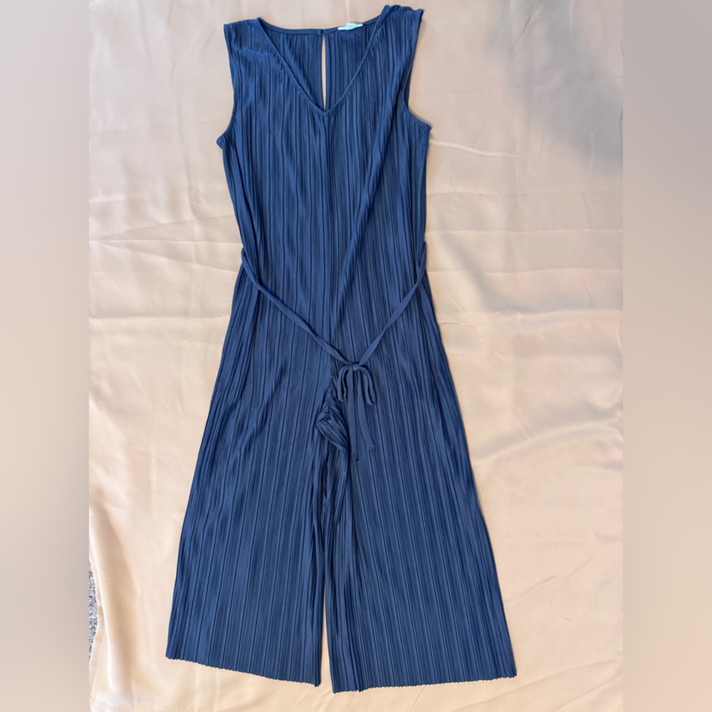 Blue Pleated Jumpsuit